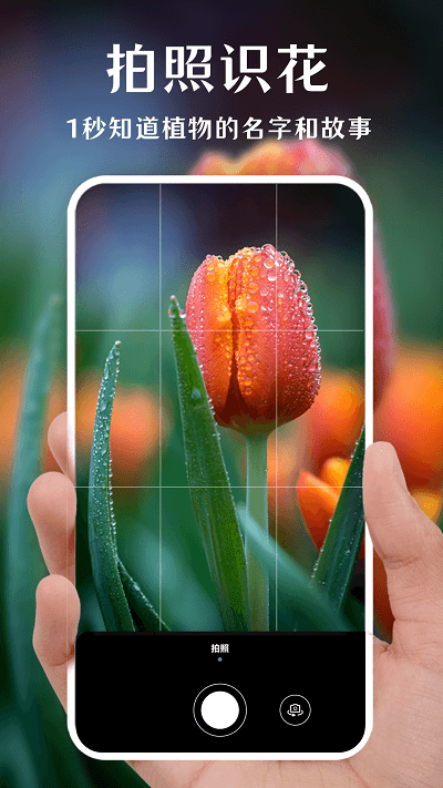 一键拍照识花下载截图